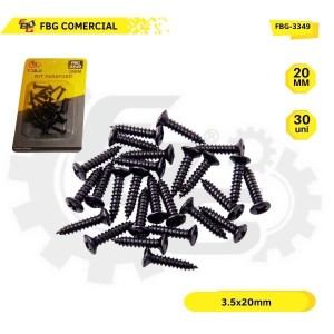FBG-3349 KIT PARAFUSO C/30 PCS 20MM 8X12